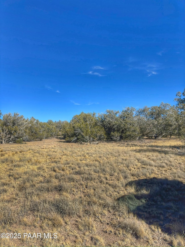 01 N Boulder Ridge, Seligman, AZ 86337 - photo 6