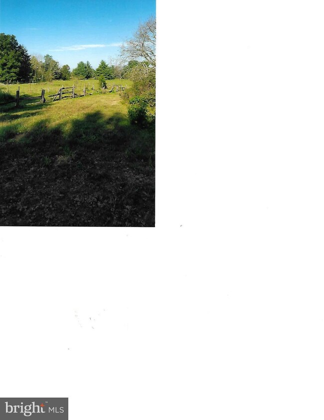 309 Pyletown Rd, Boyce, VA 22620 - photo 4