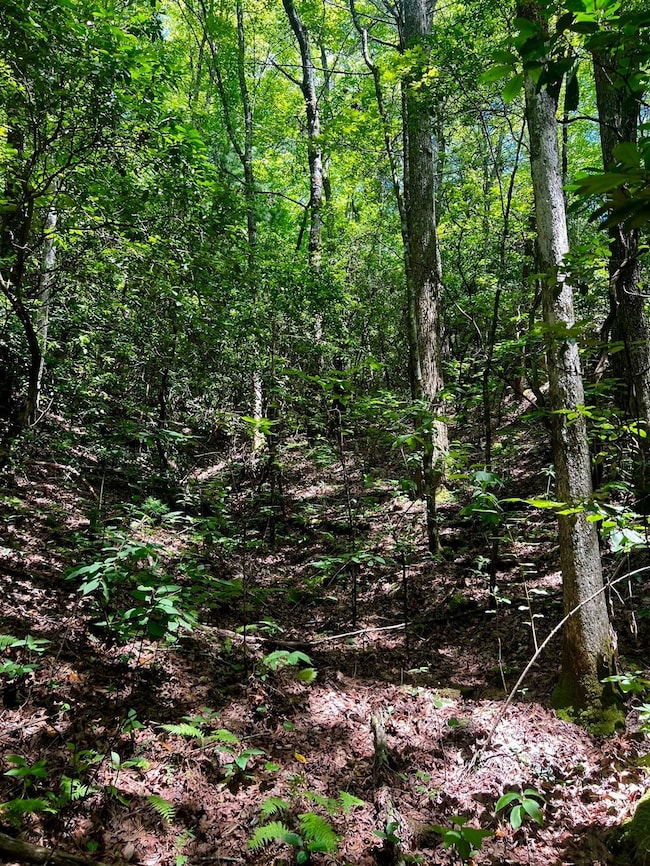 Tbd Indian Hills Drive Lot unit WP001, Murphy, NC 28906 - photo 5