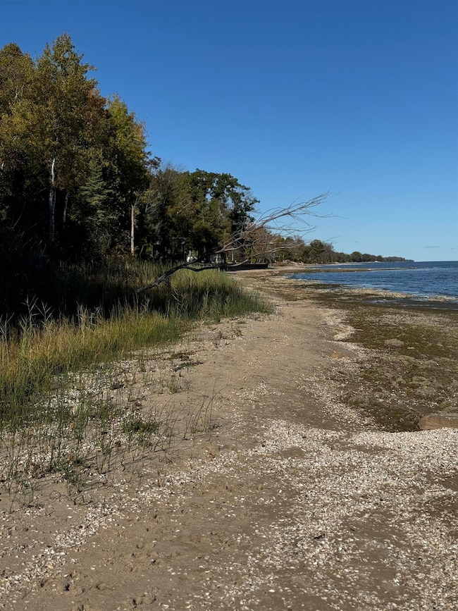 0 E State Highway M35, Menominee, MI 49858 - photo 5