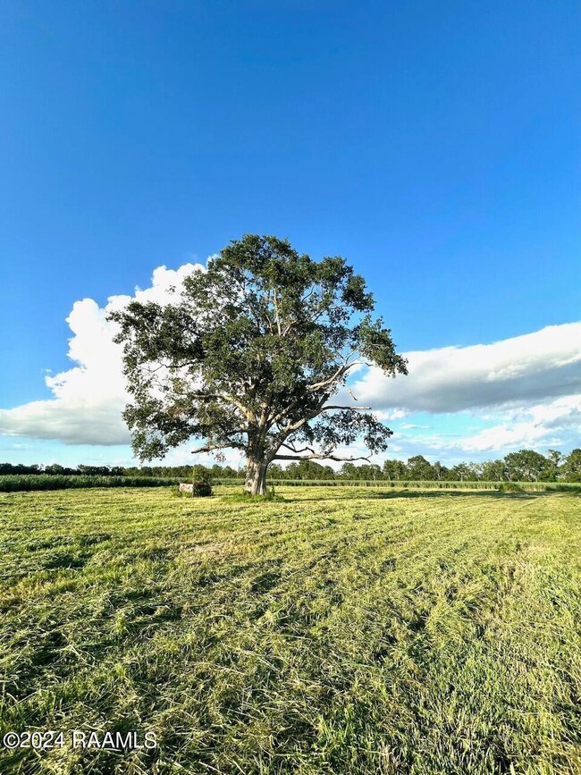 2 acres