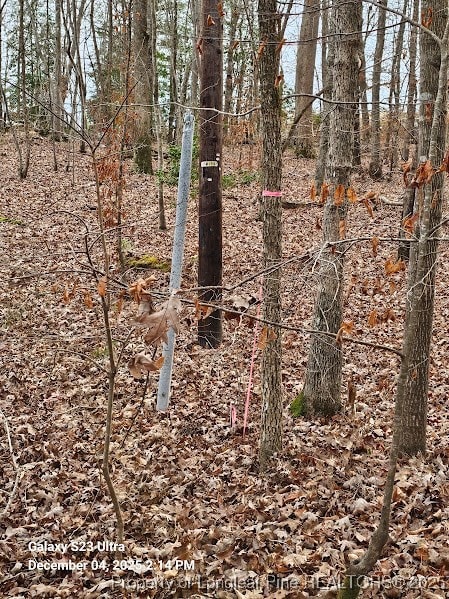 0 Natchez Trace unit 754229, Buckhorn, NC 27526 - photo 5