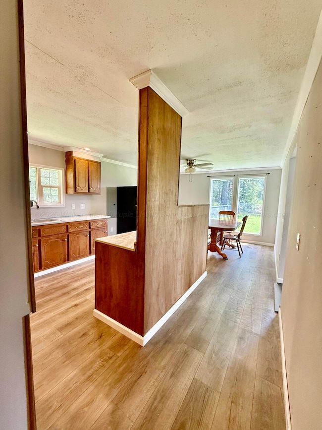 144 Vann Loop, Detroit, AL 35552 - photo 5