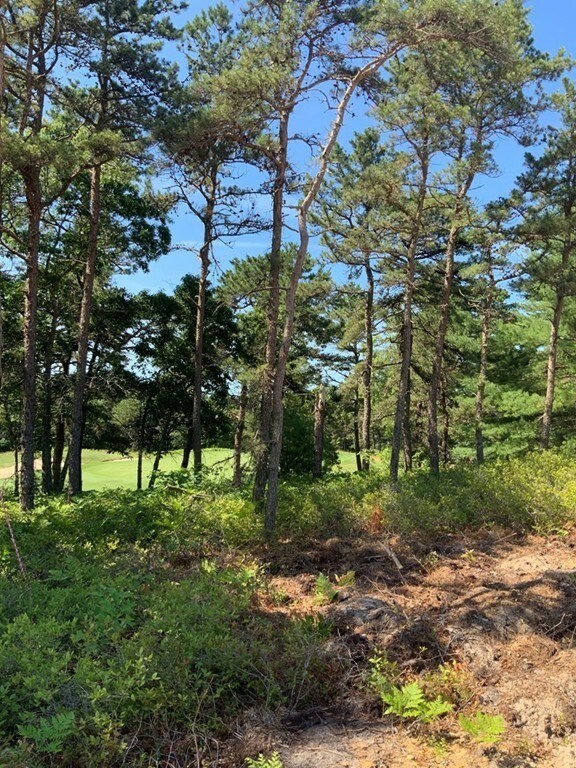 44 Briarwood, Plymouth, MA 02360 - photo 2