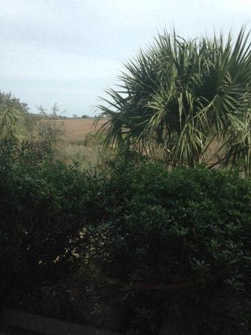 365 Moss Oak Cir unit 365, St. Simons Island, GA 31522 - photo 3