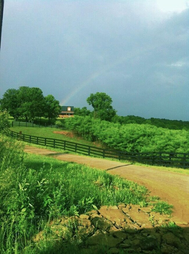 5023 Doyle Ln, Mayslick, KY 41055 - photo 3