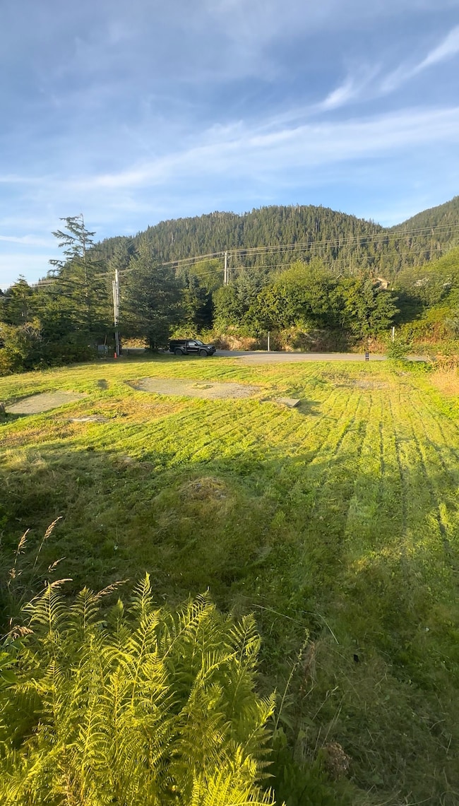 3207 Halibut Point Rd, Sitka, AK 99835 - photo 4