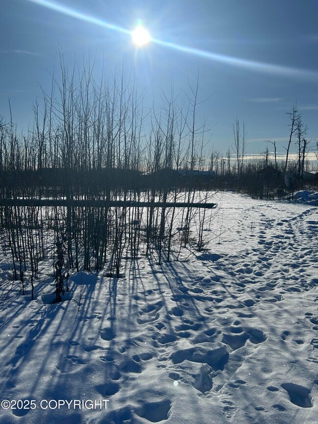 15408 Wild Bill Way, Susitna North, AK 99688 - photo 5