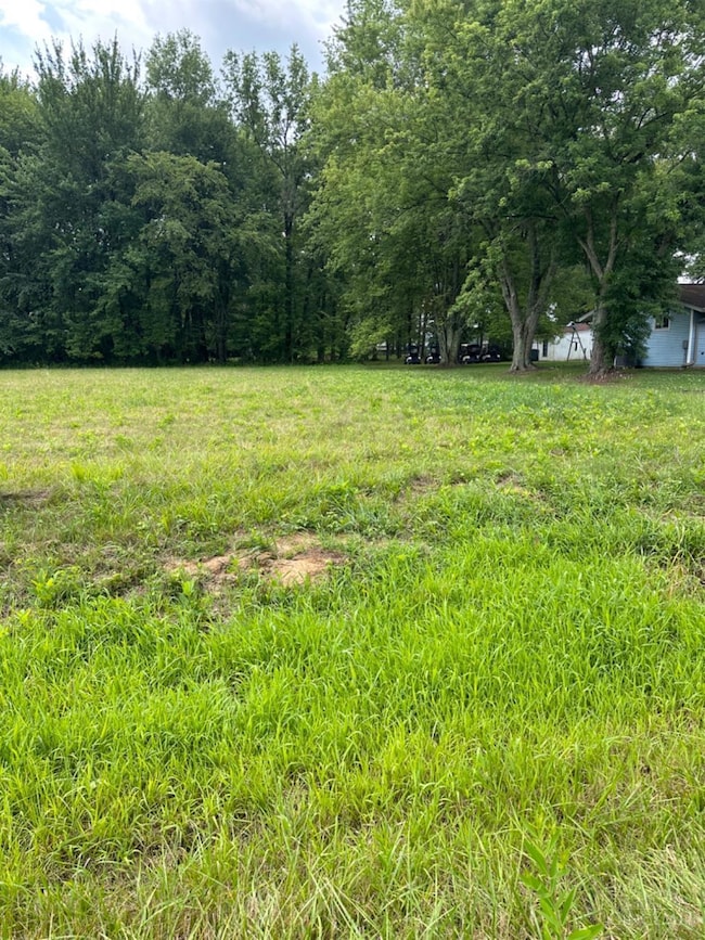 1476 Oder Dr, Fayetteville, OH 45118 - photo 3