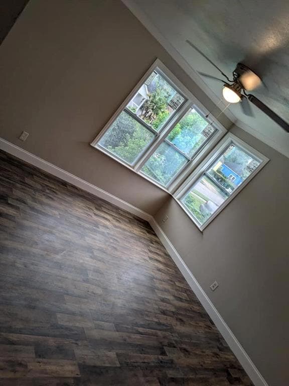 Additional living space featuring ceiling fan and dark hardwood / wood-style floors