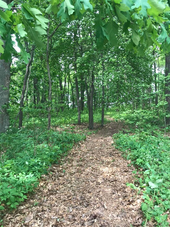 8660 E 700 N, Walkerton, IN 46574 - photo 6