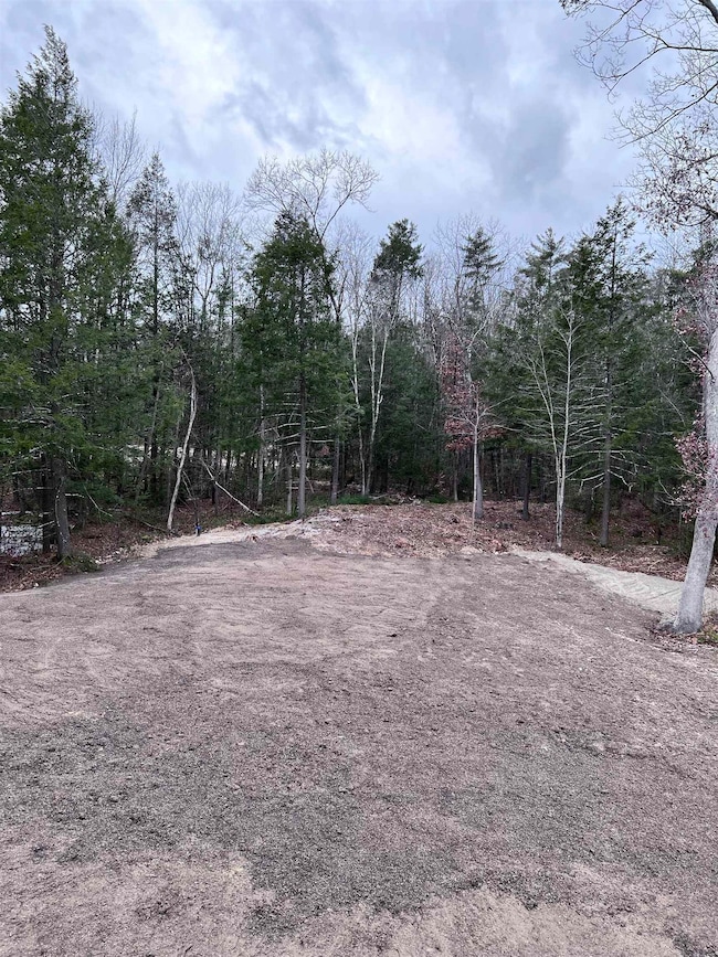 wooded back yard