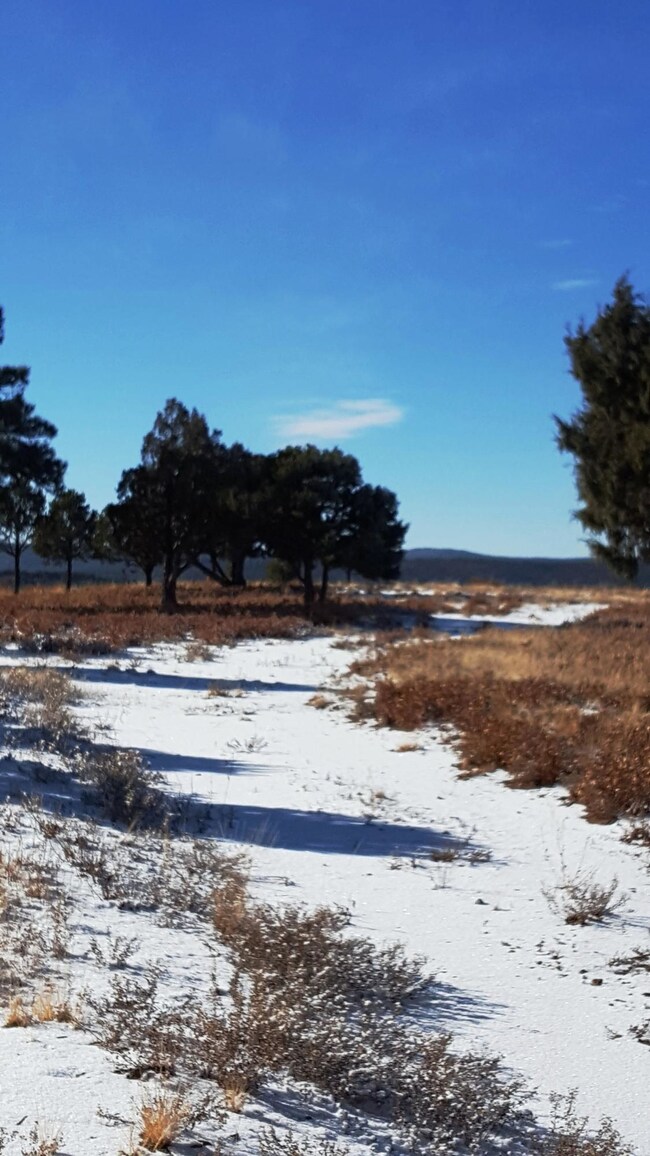 0 Timber Ridge Ln unit B29-30 16-1135, Trinidad, CO 81082 - photo 6