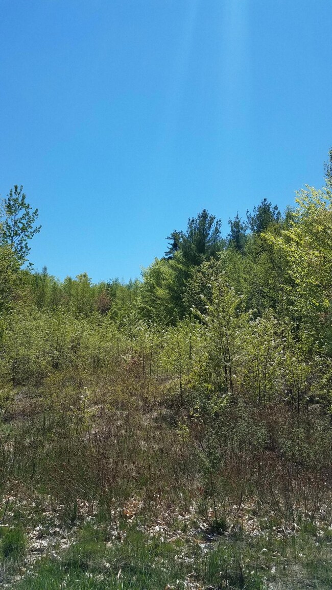 Lot 1 White Mountain Way, Bridgton, ME 04009 - photo 5