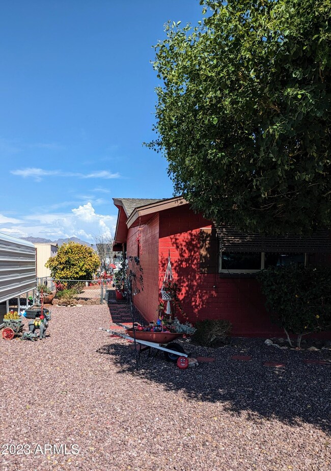 Left Side Yard