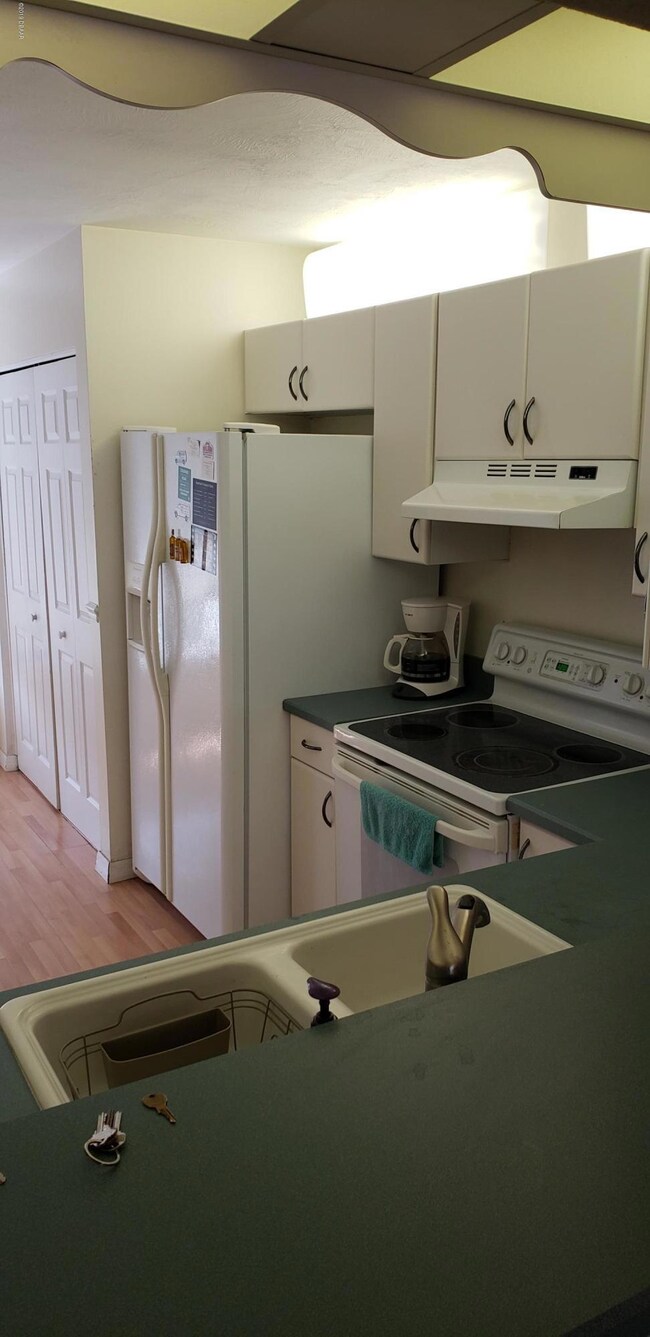 210 Lemon Tree 4-6