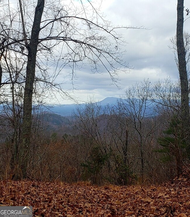 39 Adair Dr NE, Ranger, GA 30734 - photo 7