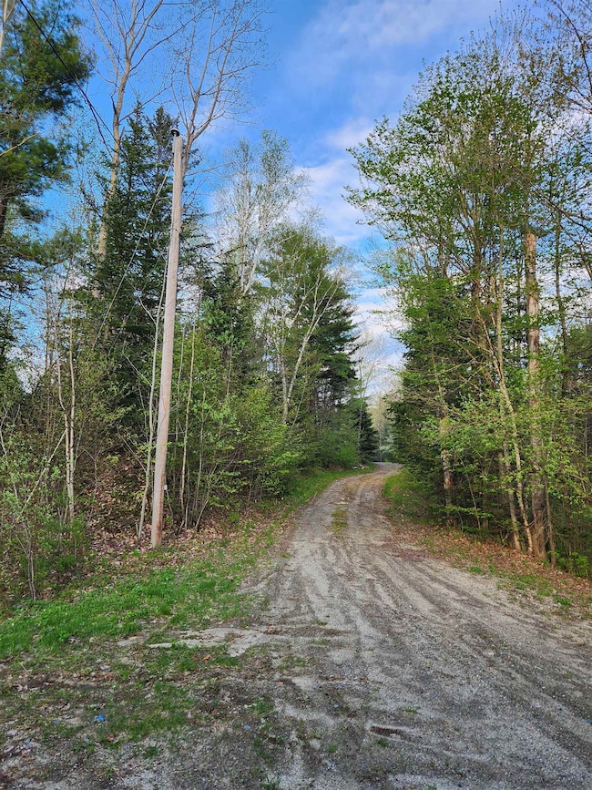 348 Parker Rd, Carroll, NH 03598 - photo 5