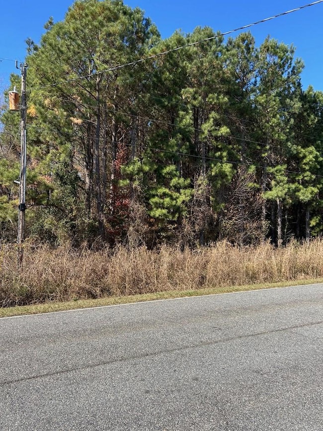 A-1-13 Elko Rd, Unadilla, GA 31091 - photo 3