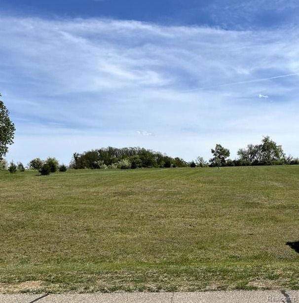 123 Bloomfield Blvd, Brooklyn, MI 49230 - photo 3