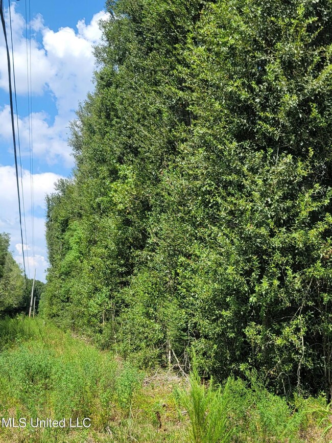 00 Walkiah Bluff Rd, Picayune, MS 39466 - photo 3