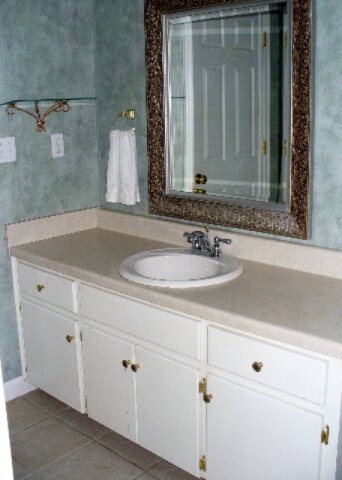 100 Wembley Ct, Dothan, AL 36305 - photo 6