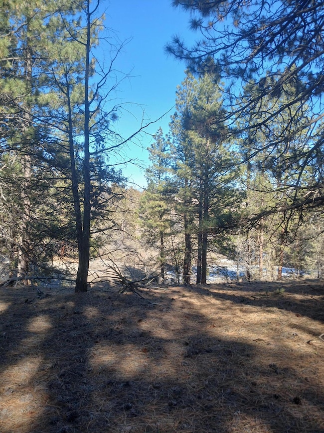 0 Drews Rd unit 220198278, Beatty, OR 97621 - photo 6