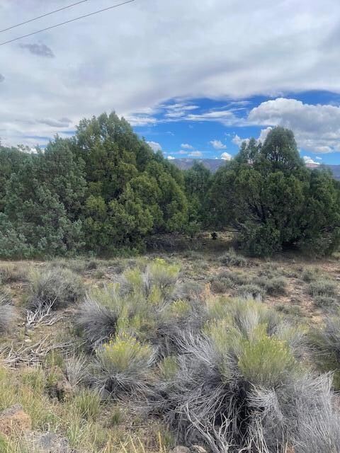 1091 S Old Us Hwy 89, Hatch, UT 84735 - photo 4