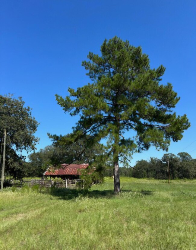 MATURE TREES AND ACREAGE