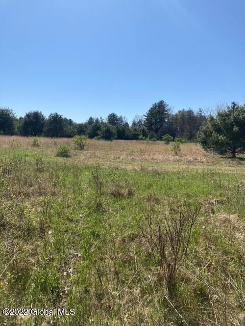 203 Ruhle Rd S, Ballston Lake, NY 12019 - photo 6