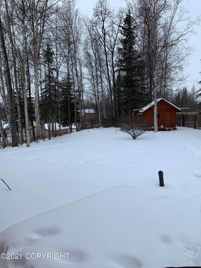 Backyard and another shed