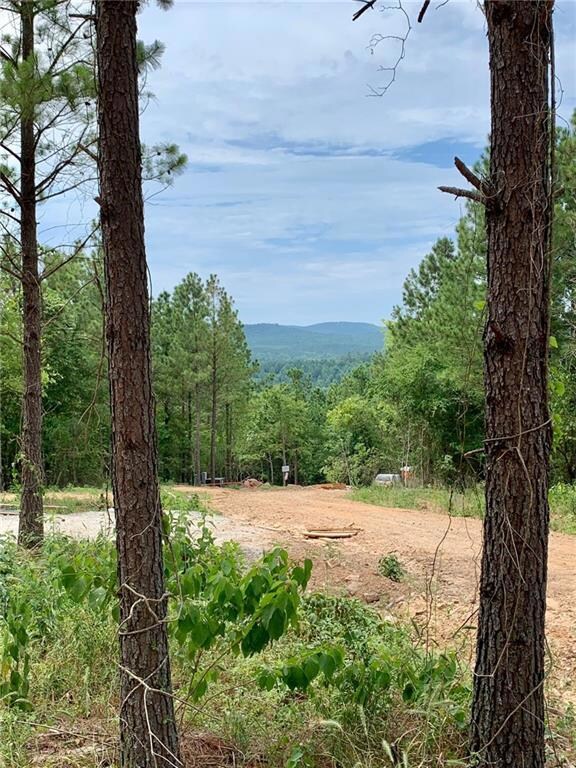 529 Timber Creek Trails South Phase 9, Broken Bow, OK 75068 - photo 4