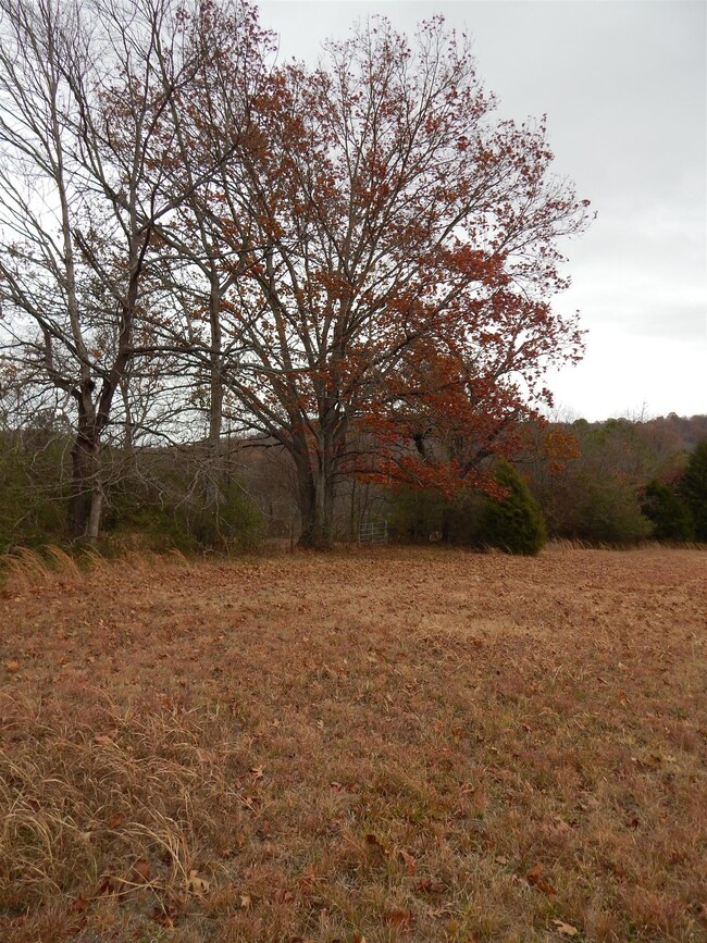 0 Liberty-Prospect Rd unit 1783700, Prospect, TN 38477 - photo 5