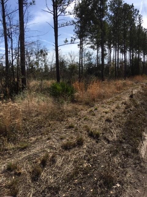 Lots 104 Colonial Coast Cir NE, Townsend, GA 31331 - photo 7