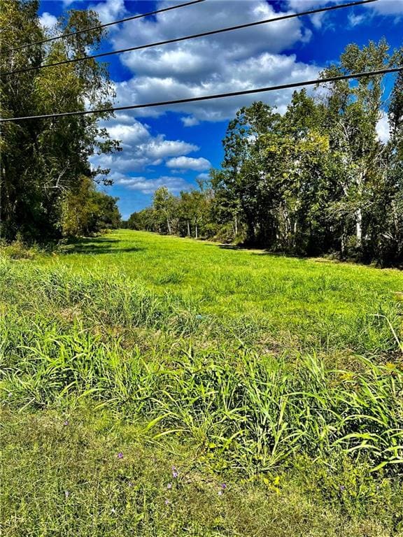 0 W Airline Hwy unit 2419719, La Place, LA 70068 - photo 2