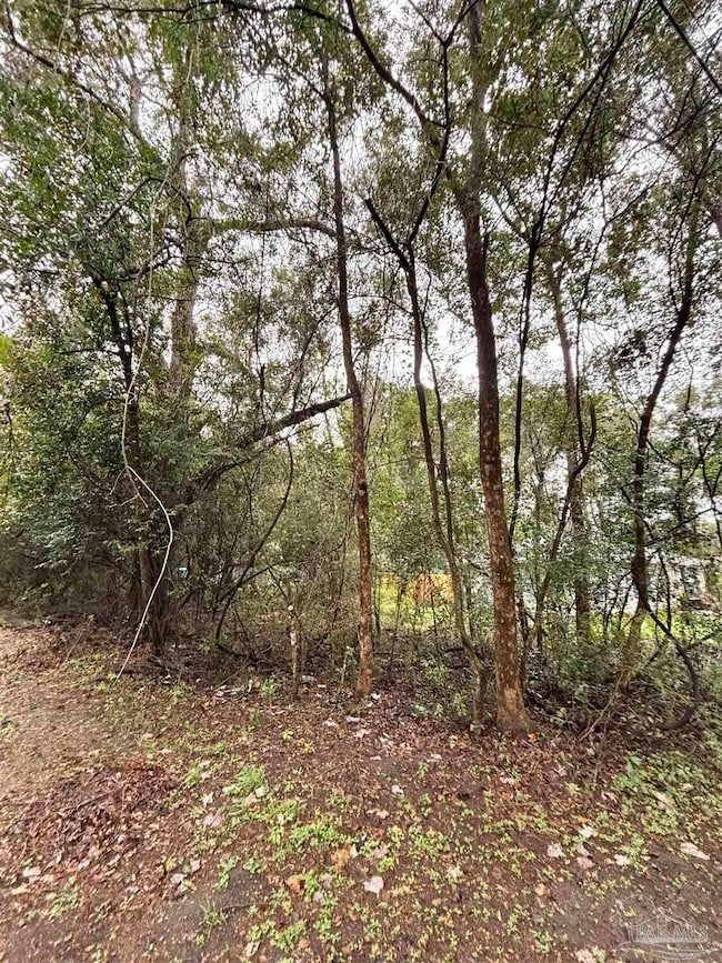 0000 Limit St, Bagdad, FL 32583 - photo 2