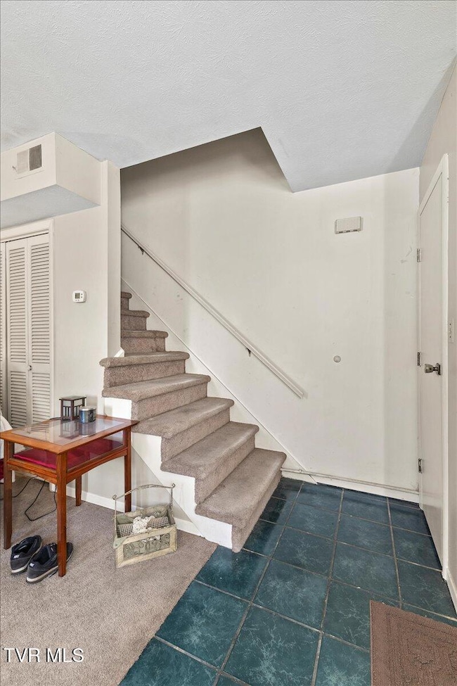 1308 Knob Creek Rd, Johnson City, TN 37604 - photo 6