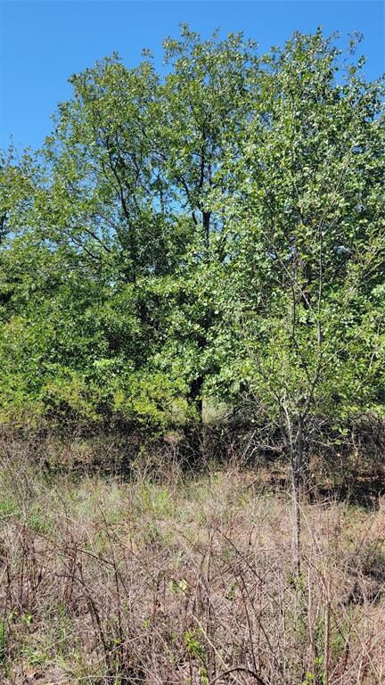 TBD Lot 1 Phillips Dr, Azle, TX 76020 - photo 7