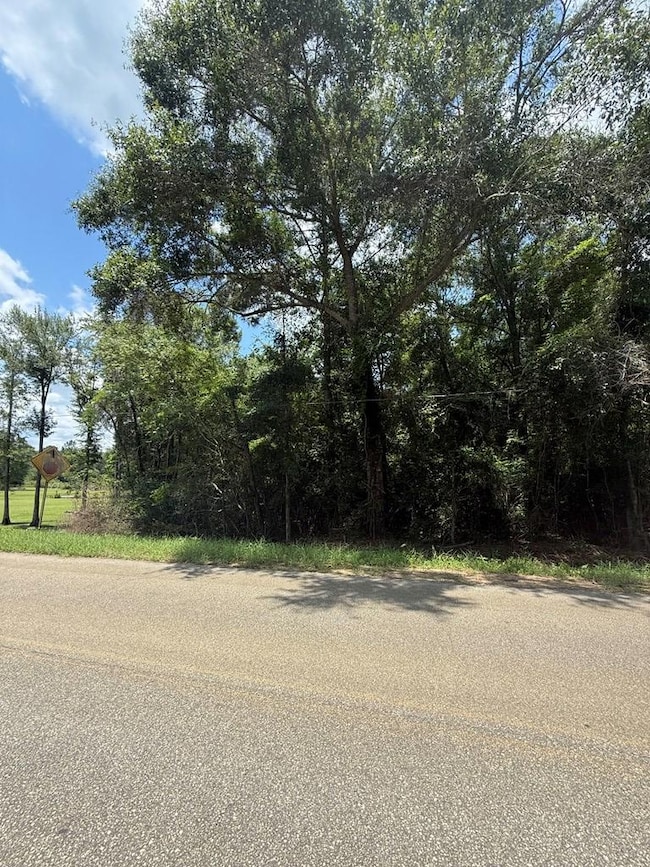 0 Sleepy Bear Rd, Norman Park, GA 31771 - photo 3