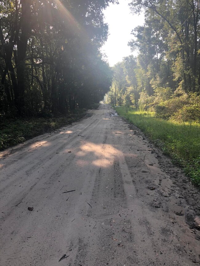 0 280th St unit 942810, Branford, FL 32008 - photo 6