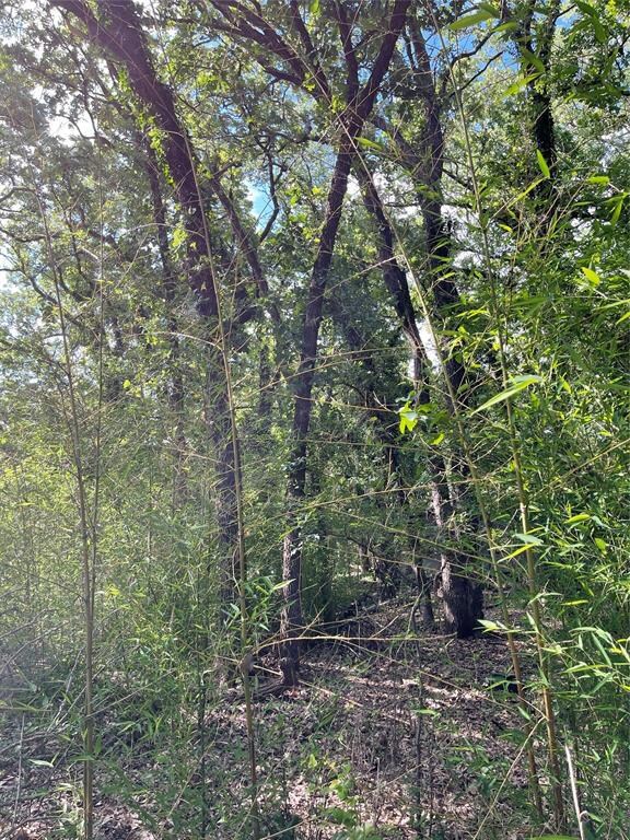 1410 E Lake Dr, Weatherford, TX 76087 - photo 4