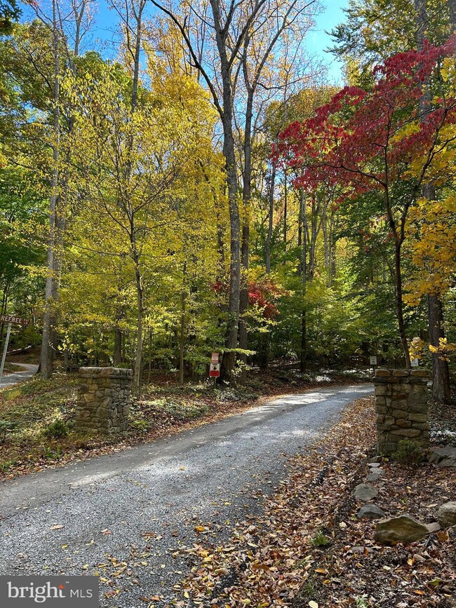 1008 Carefree Ln, Boyce, VA 22620 - photo 3