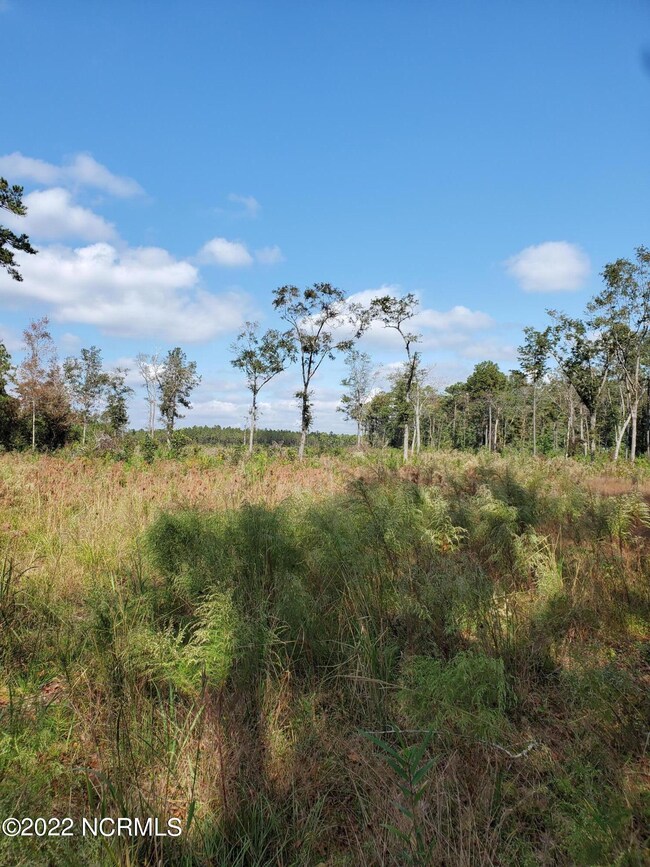 Lot 5-6 Barbeque NW, Ocean Isle Beach, NC 28469 - photo 5