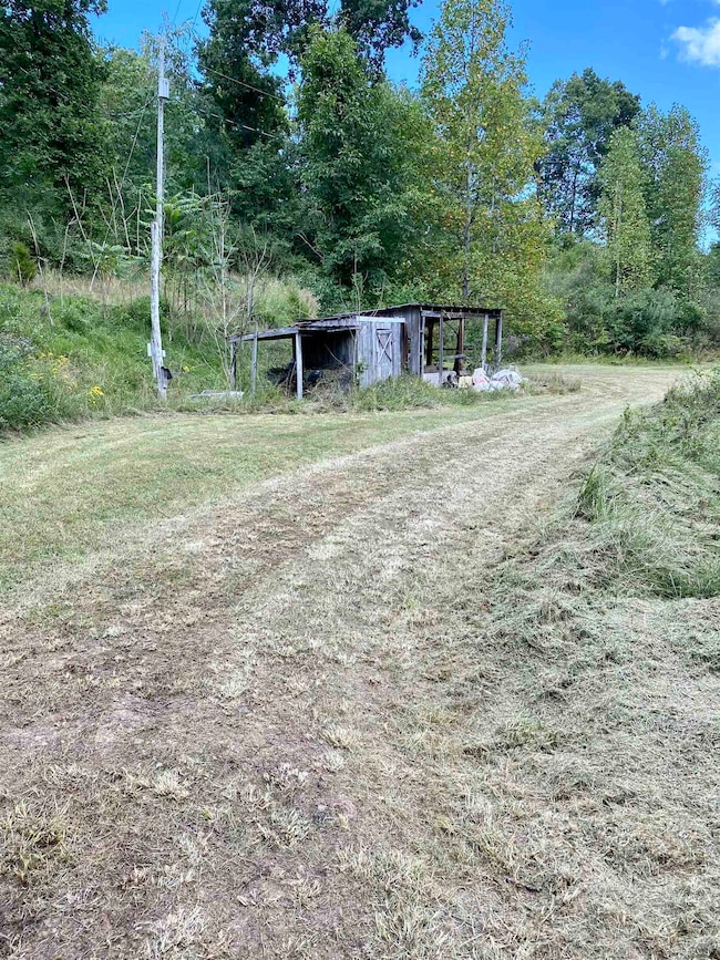 1142 Roscoe Davis Cemetery Rd, Genoa, WV 25517 - photo 7