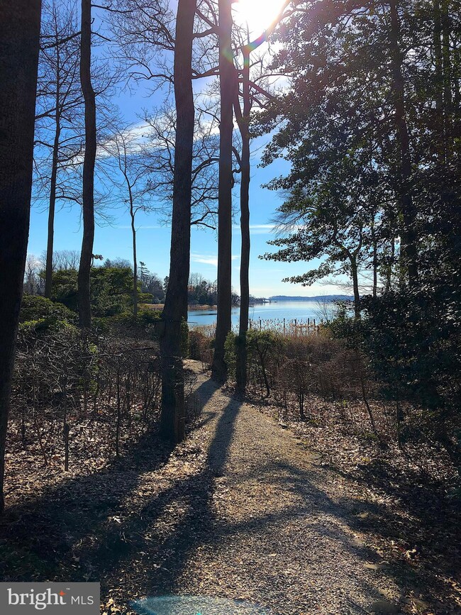 47 Poplar Point Rd, Edgewater, MD 21037 - photo 6