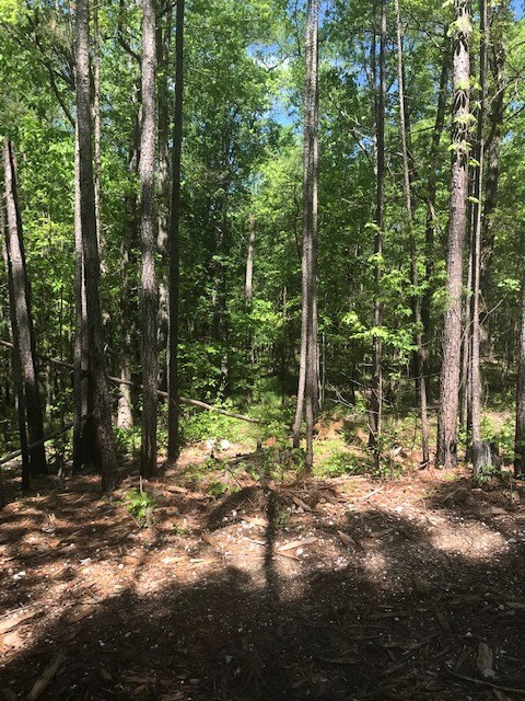 0 Mount Zion Church Rd, Lincoln, GA 30817 - photo 2