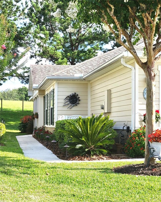 21714 Belgian Ct, Mount Dora, FL 32757 - photo 4