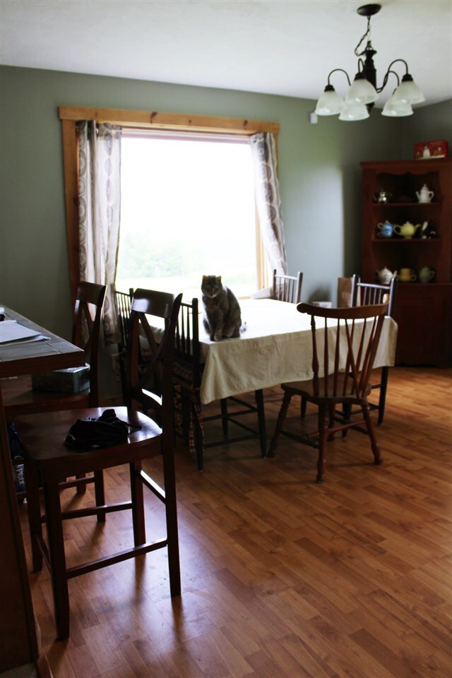 1079 S Ridge Rd, Sutton, VT 05867 - photo 7