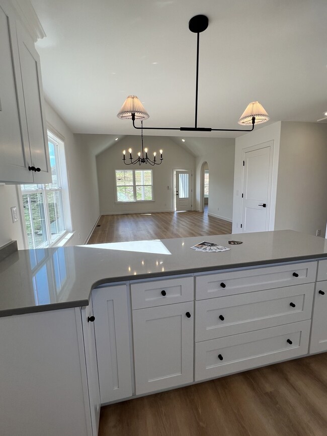 9728 Campbellsville Rd, Pulaski, TN 38478 - photo 6