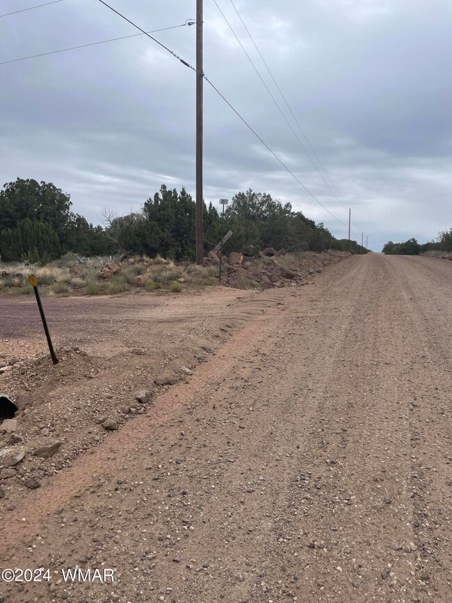 1 Cr 8117, Concho, AZ 85924 - photo 4